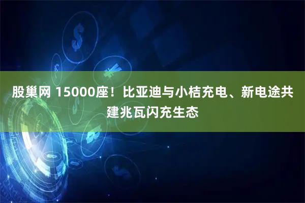 股巢网 15000座！比亚迪与小桔充电、新电途共建兆瓦闪充生态