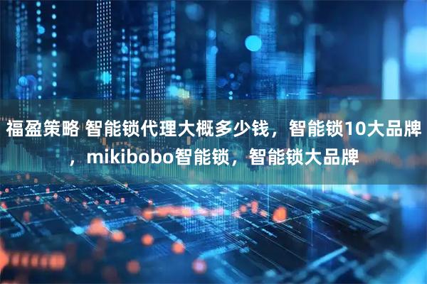 福盈策略 智能锁代理大概多少钱，智能锁10大品牌，mikibobo智能锁，智能锁大品牌