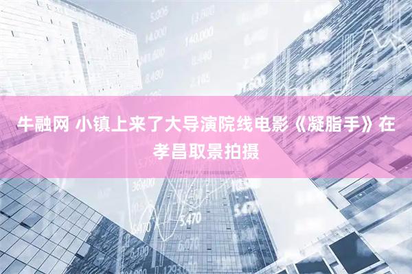 牛融网 小镇上来了大导演院线电影《凝脂手》在孝昌取景拍摄