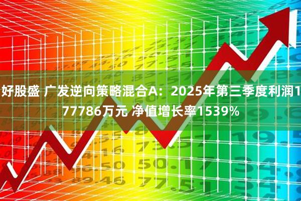 好股盛 广发逆向策略混合A：2025年第三季度利润177786万元 净值增长率1539%