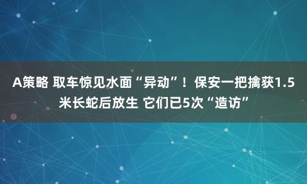 A策略 取车惊见水面“异动”！保安一把擒获1.5米长蛇后放生 它们已5次“造访”