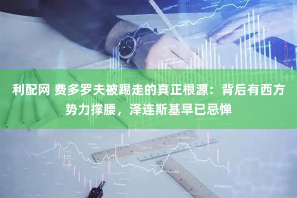 利配网 费多罗夫被踢走的真正根源：背后有西方势力撑腰，泽连斯基早已忌惮